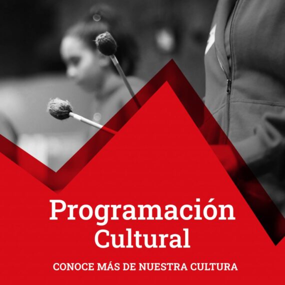 PVM_Gráficasactividadesculturales_260523-03-1024×1024