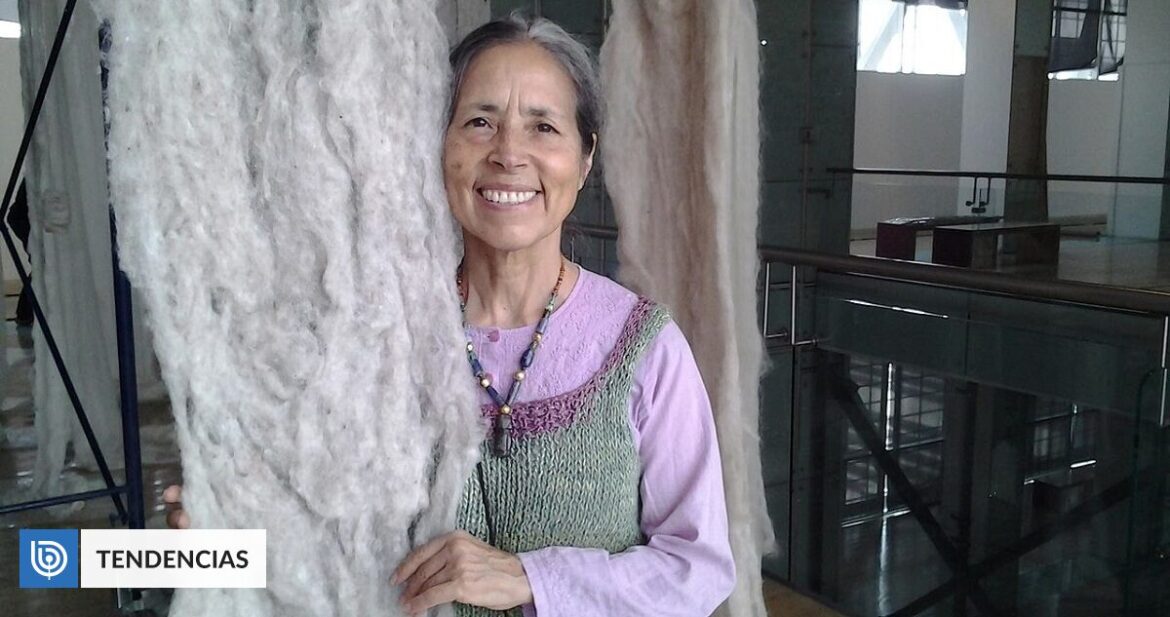 social-cecilia-vicuna-1200×633